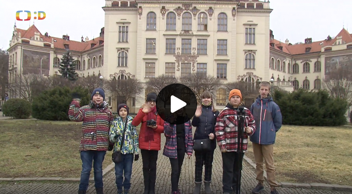 Přehrát video