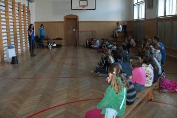 Vzdělávací přednáška o práci asistenčních pejsků (16.12.)- podpořen NF Avast