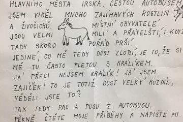 Králík nebo zajíc? Co napíšeme Felixovi?