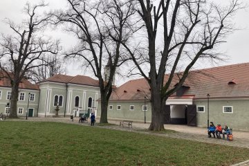 Kladruby nad Labem - hřebčín 1.3.2024