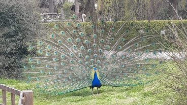 ZOO znovu otevírá své brány