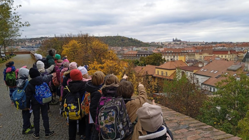 11. týden
